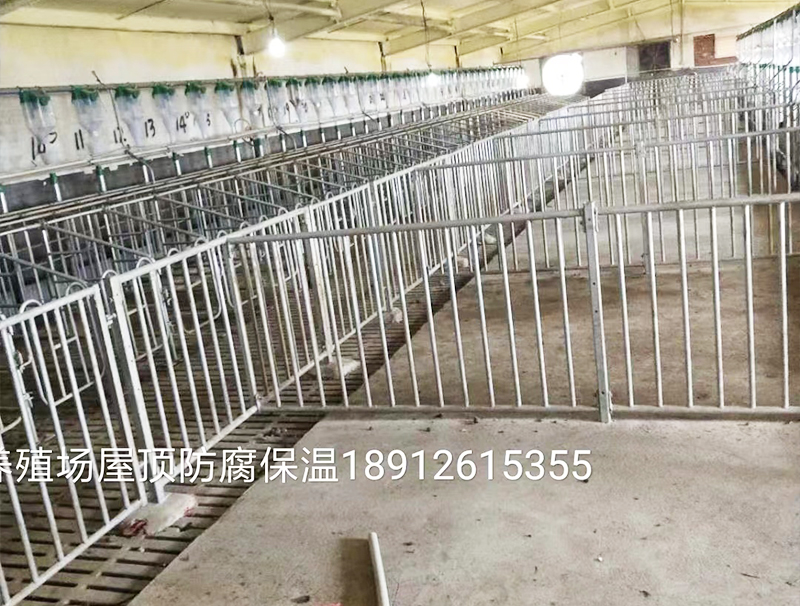 養(yǎng)殖場屋頂防腐保溫案例